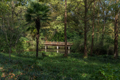 杭州西湖景区红栎山庄园林