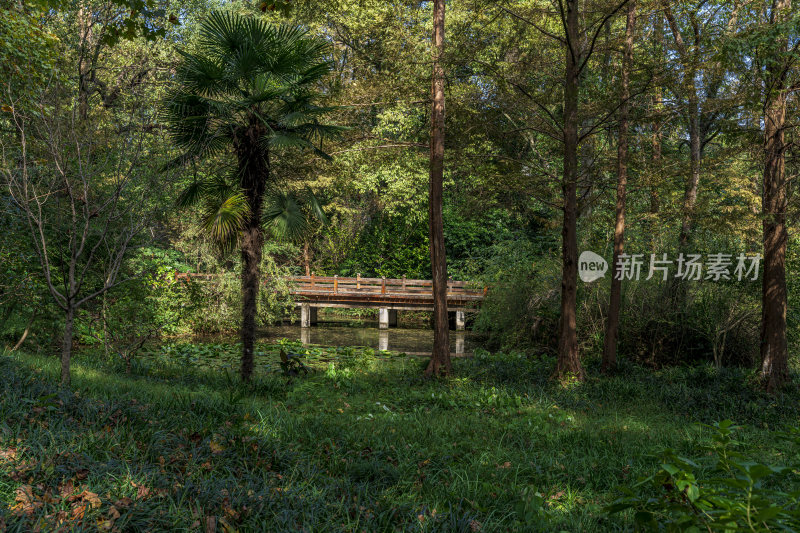 杭州西湖景区红栎山庄园林
