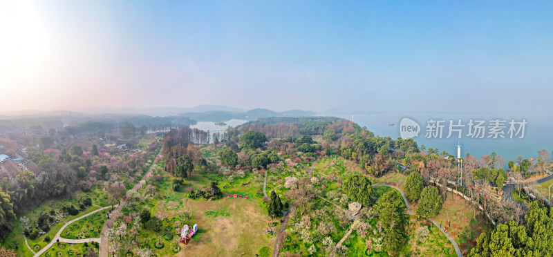武汉东湖梅园的景色