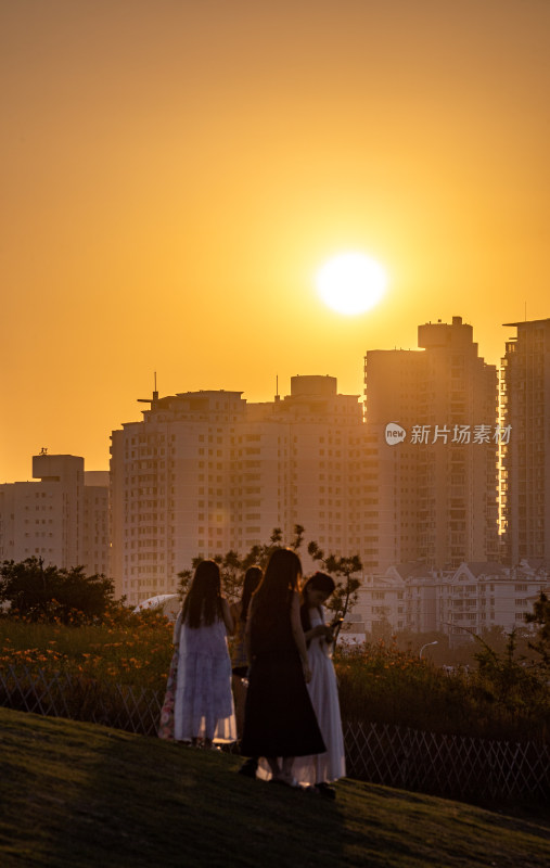 黄昏落日时青岛小麦岛公园自然风景城市景观