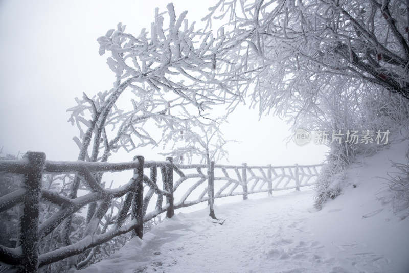 洛阳老君山大雪栈道步道雾凇