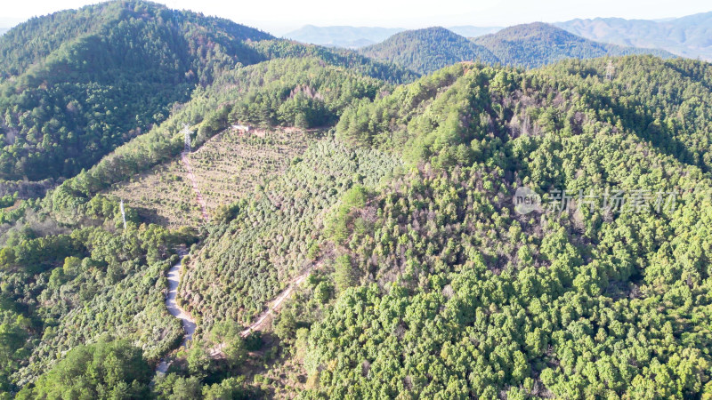 绿色植物森林山川森林航拍图