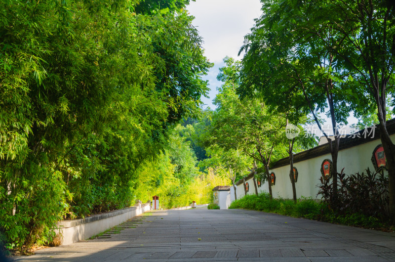 亚洲中国福建省福州市于山风景区定竹林小道