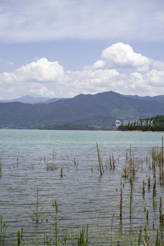 东江湖白廊景区