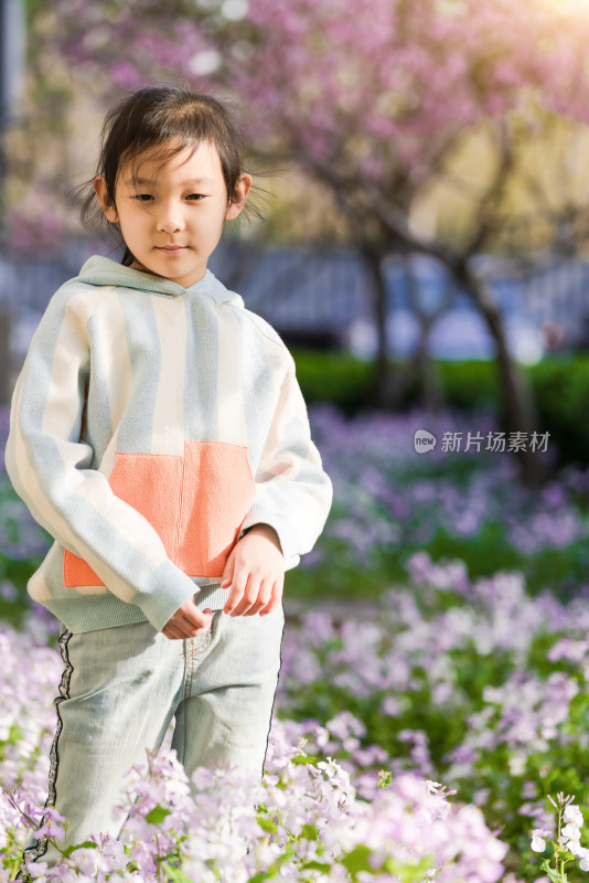北京春天站在花中的女孩