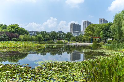 武汉关山荷兰风情园风景