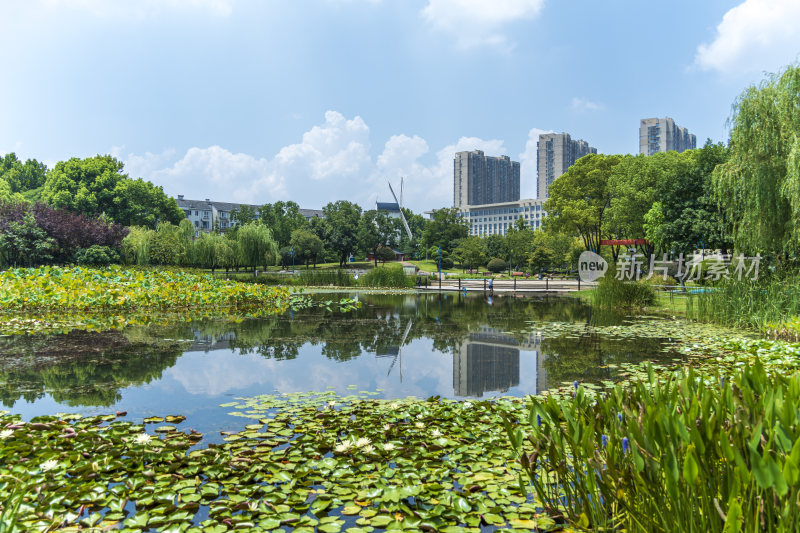 武汉关山荷兰风情园风景