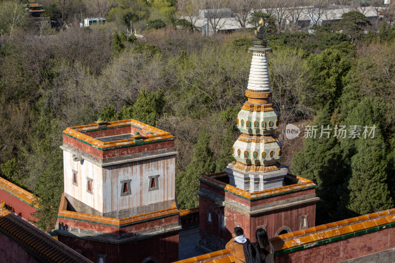 北京颐和园四大部洲藏式建筑春日风光