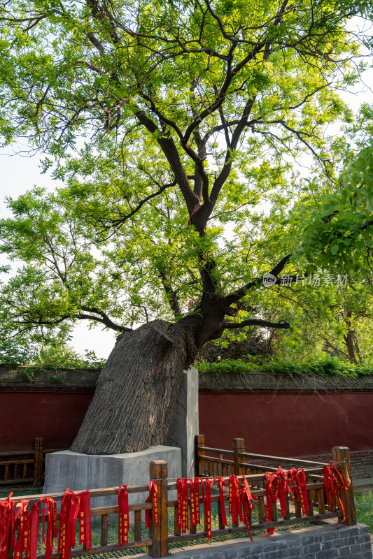 正定天宁寺