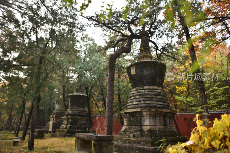 古刹塔林秋色 北京潭柘寺塔林