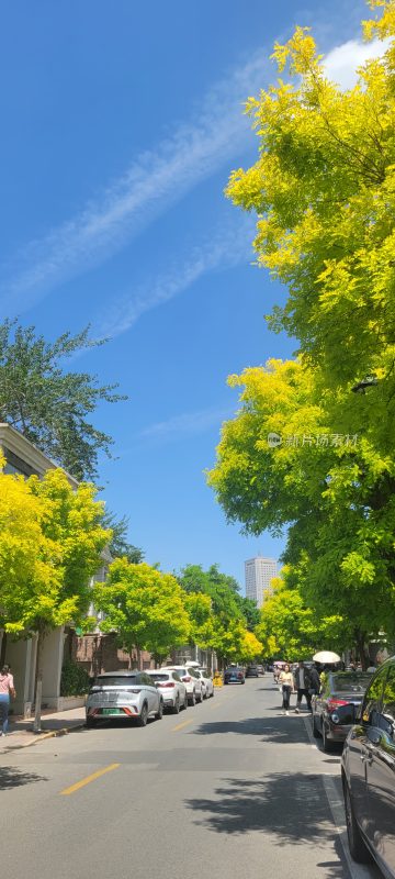 温暖夏日 绿意盎然 阳光明媚