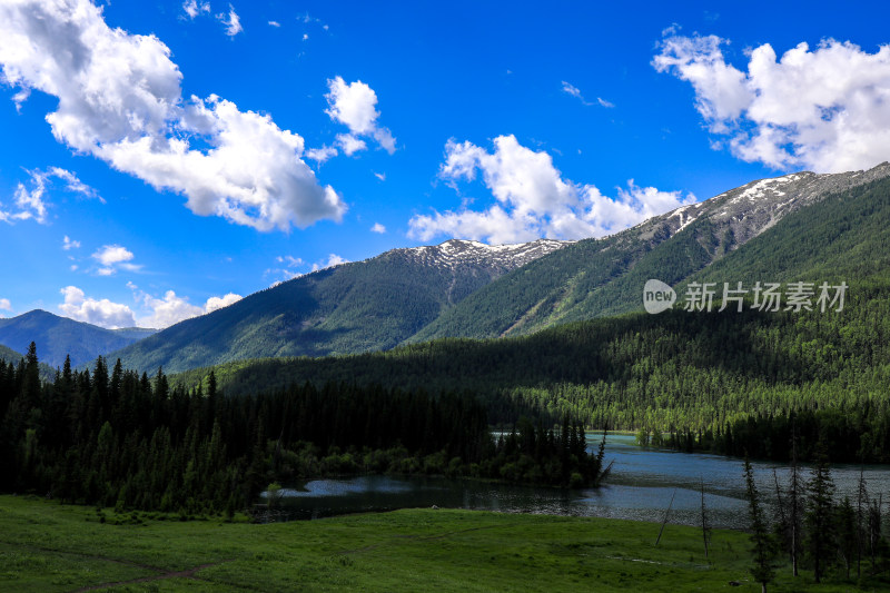 新疆阿勒泰地区喀纳斯森林草原自然风景