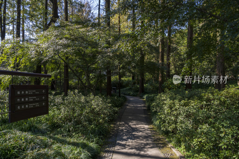 杭州西湖风景区曲院风荷风景