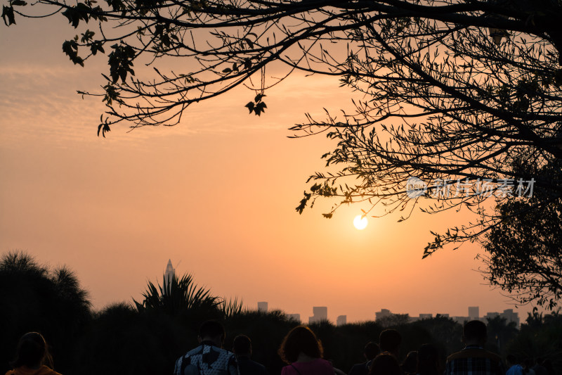 深圳红树林日落美景