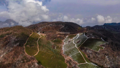 航拍湖南张家界天子山茶园冬天雪景