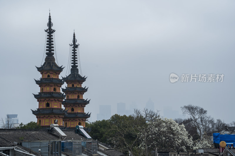 远眺春季苏州千年罗汉寺双塔与盛开的玉兰花