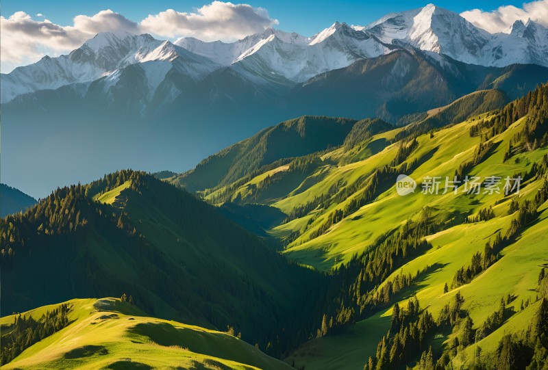 雪山草原森林风景