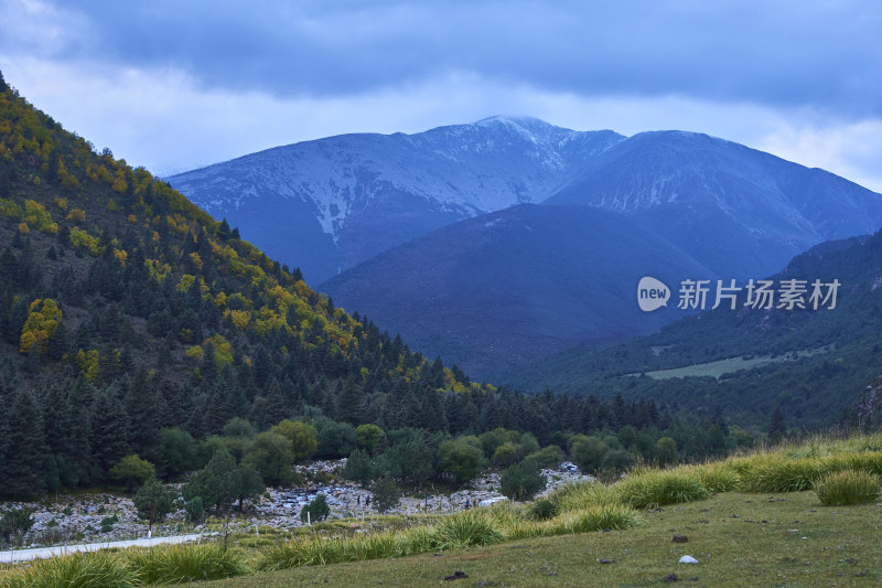 高山草甸的自然风光