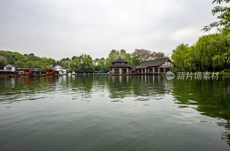 杭州西湖茅家埠黛色参天自然风景景观