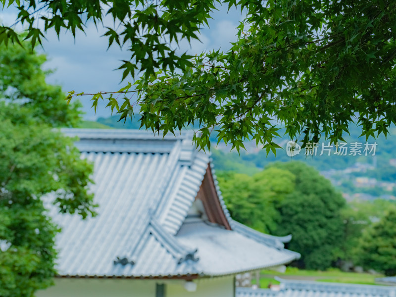 日本金泽景点金泽城