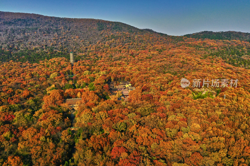 秋天的灵谷景区