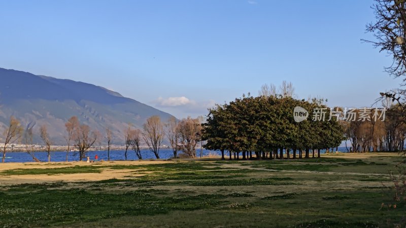 湖边草地树林远山风光