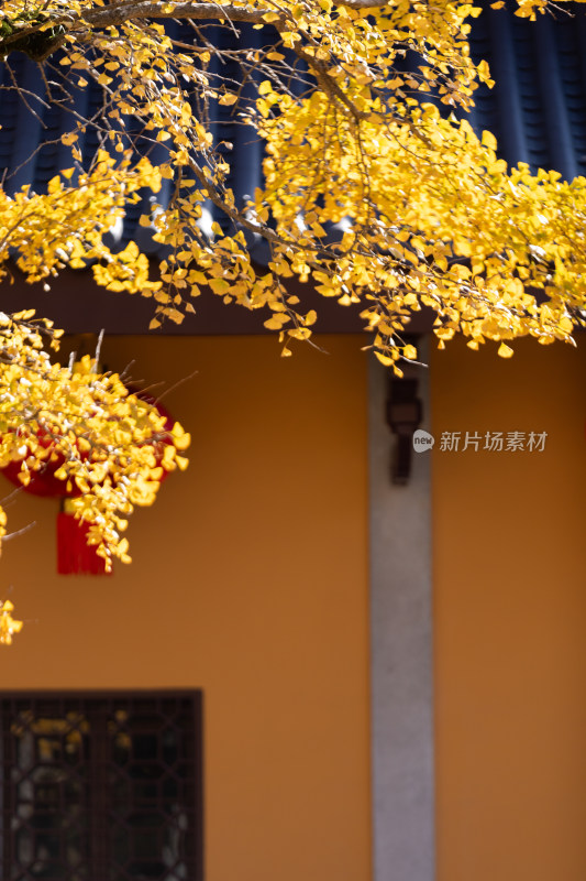 宁波奉化雪窦山雪窦寺弥勒大佛景区