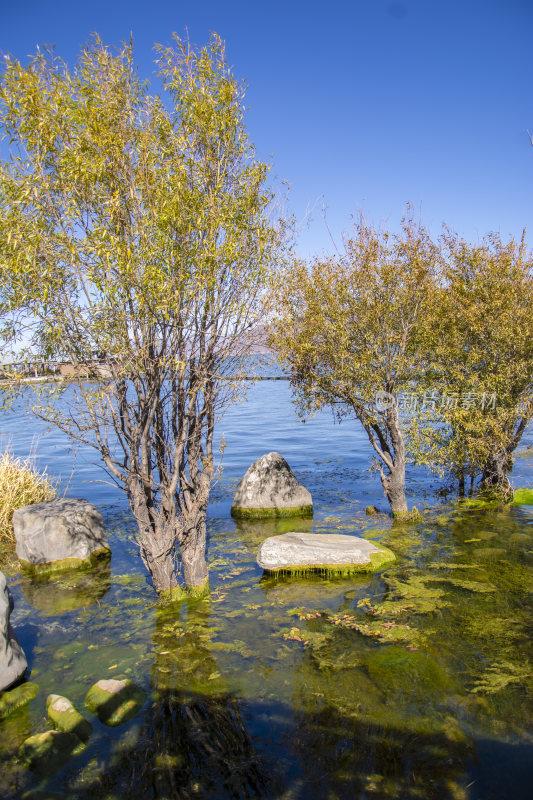 云南大理洱海风景晴天蓝色湖面