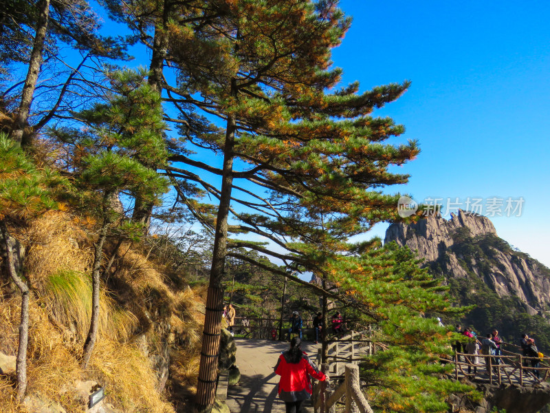 中国安徽黄山旅游风光