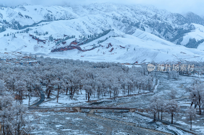 青海海北藏族自治州祁连卓尔山乡村树林雪景