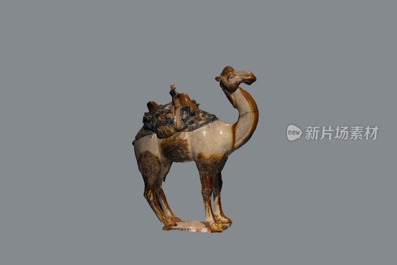 河南洛阳博物馆唐代骆驼