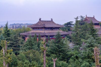 河南省洛阳市白马寺，隐藏在树林中的佛殿