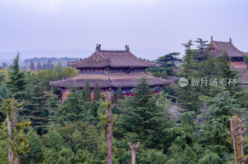 河南省洛阳市白马寺，隐藏在树林中的佛殿