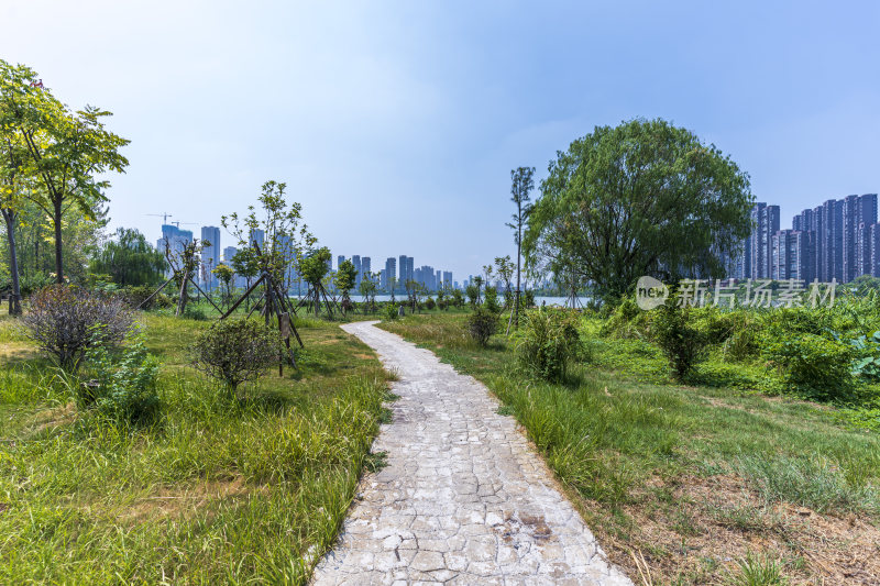 武汉江夏区汤逊湖壹号湿地公园风景