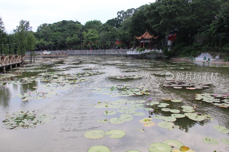 广东东莞：隐贤山庄景区