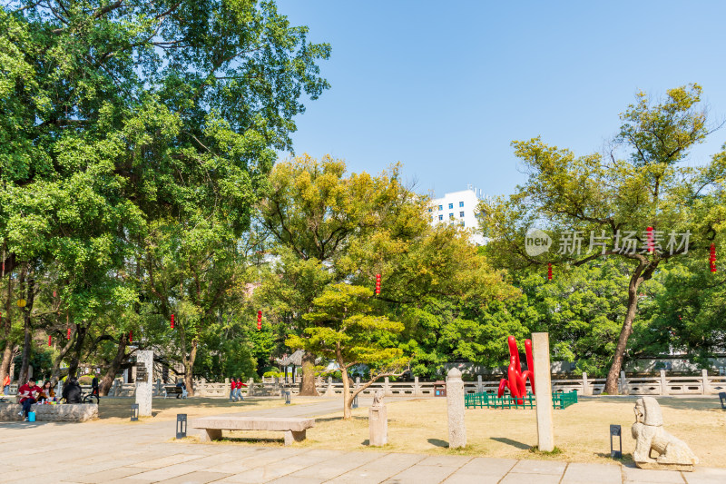 福州春天绿意盎然的冶山春秋公园景色