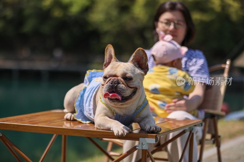 年轻的母亲和她的女儿在湖边露营