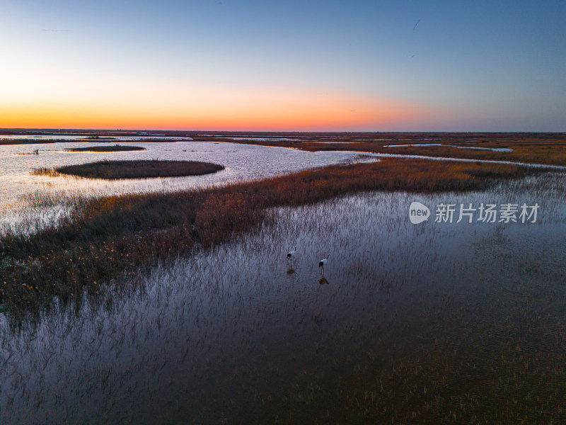 中国江河母亲河黄河生态湿地环境