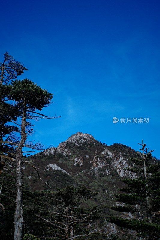 云南大理苍山洗马潭景区