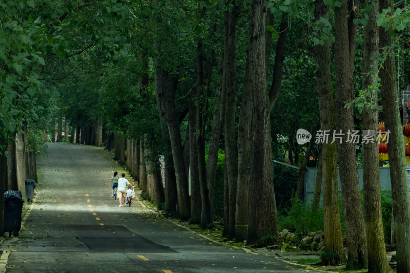 一家三口 路行 林间公路 绿树