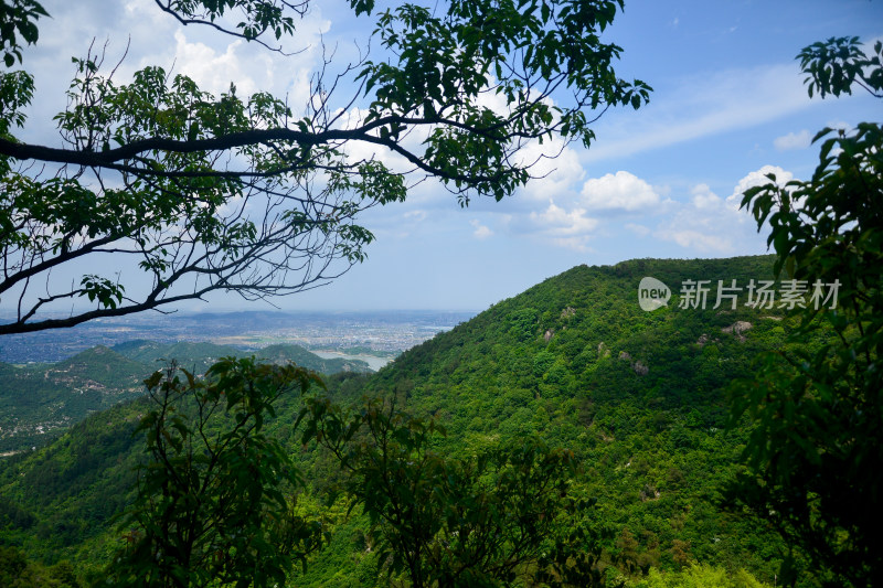 山中的风景