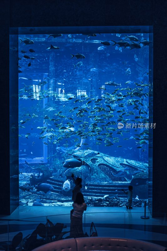 三亚亚特兰蒂斯酒店的水族馆