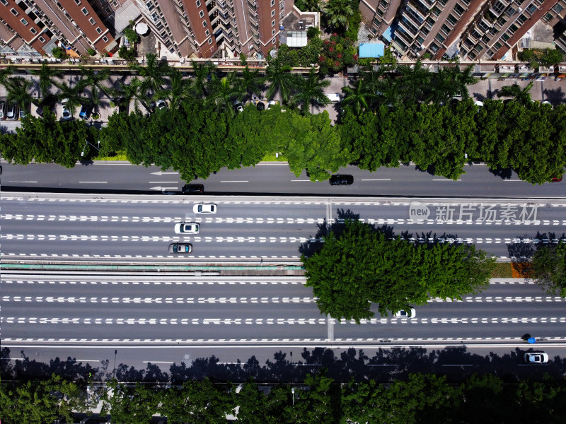 城市车流远景