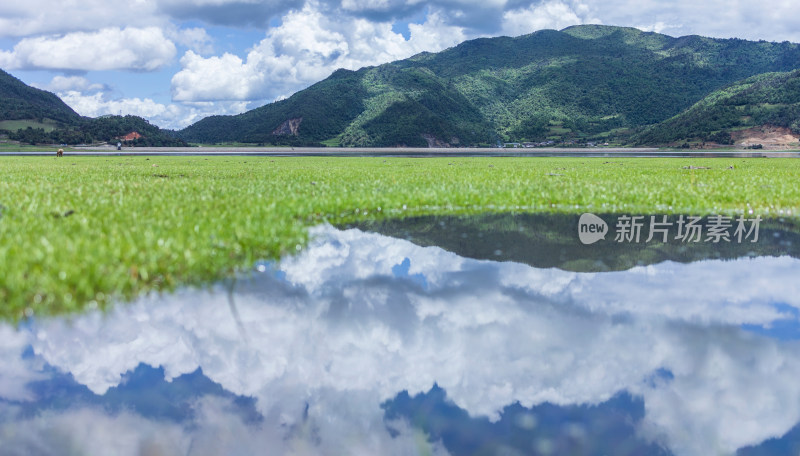 文海丽江风景