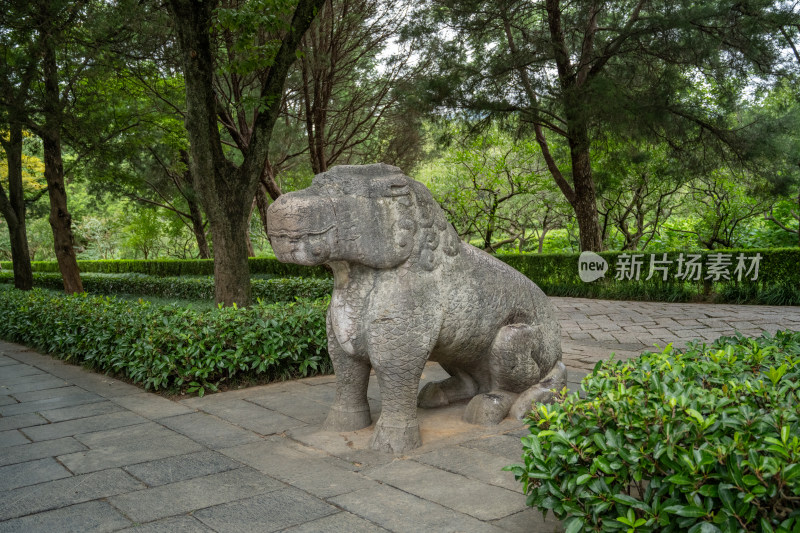 南京钟山明孝陵景区石像路夏季獬豸