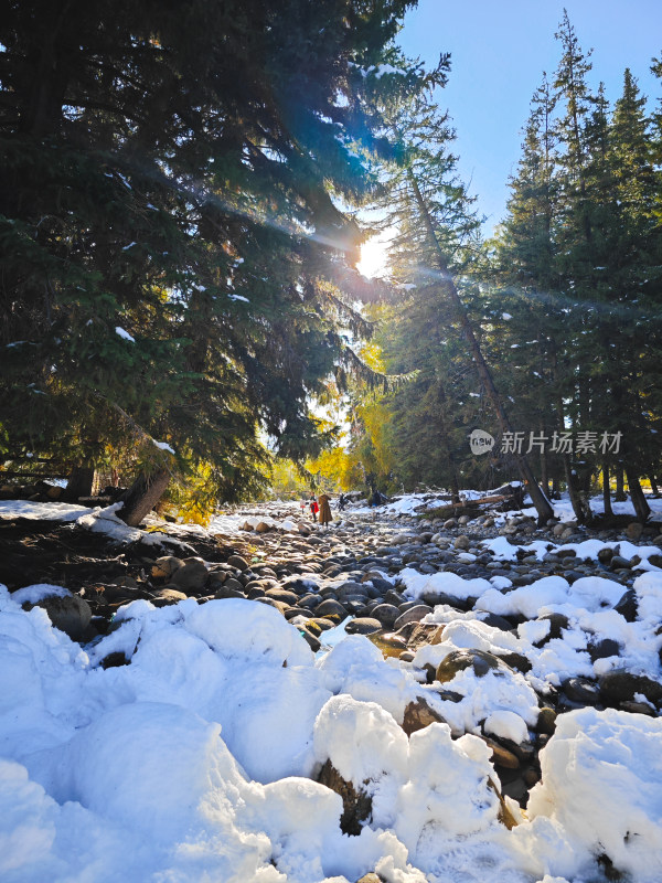 雪地阳光