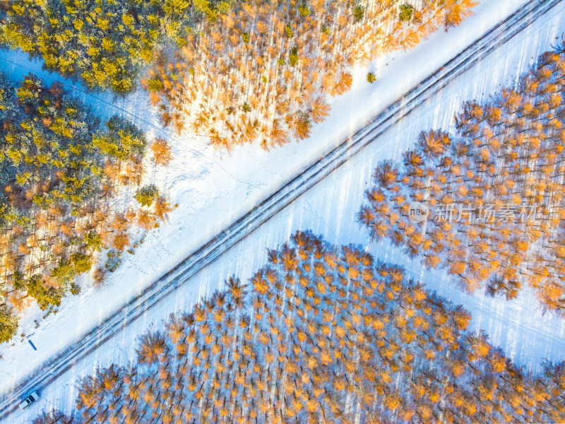 航拍雪林相间的美丽自然风光