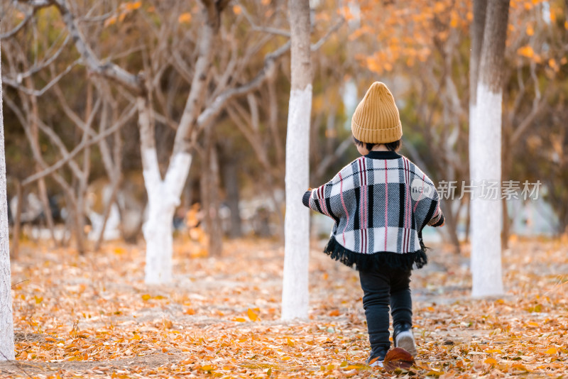 秋天在落满黄叶的公园奔跑的中国女童背影