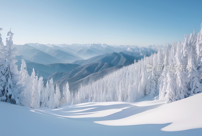 冬季森林白雪覆盖风景