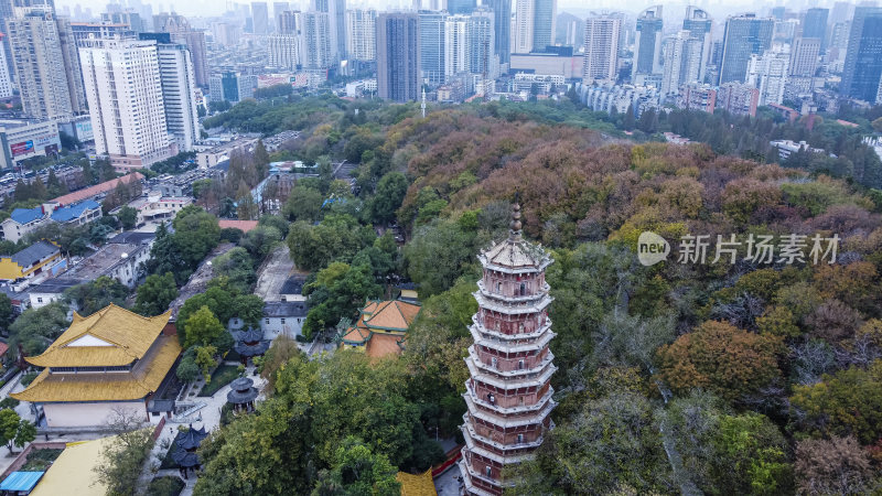 武汉武昌区宝通禅寺洪山宝塔航拍